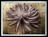 Contemporary Floral Still life - Flower Series