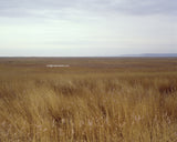 English Landscape Fine Art Photography - P7