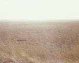 English Landscape Fine Art Photography - P7