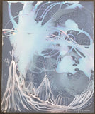 Calliandra Californica - n. 4 (2016) - Cyanotype