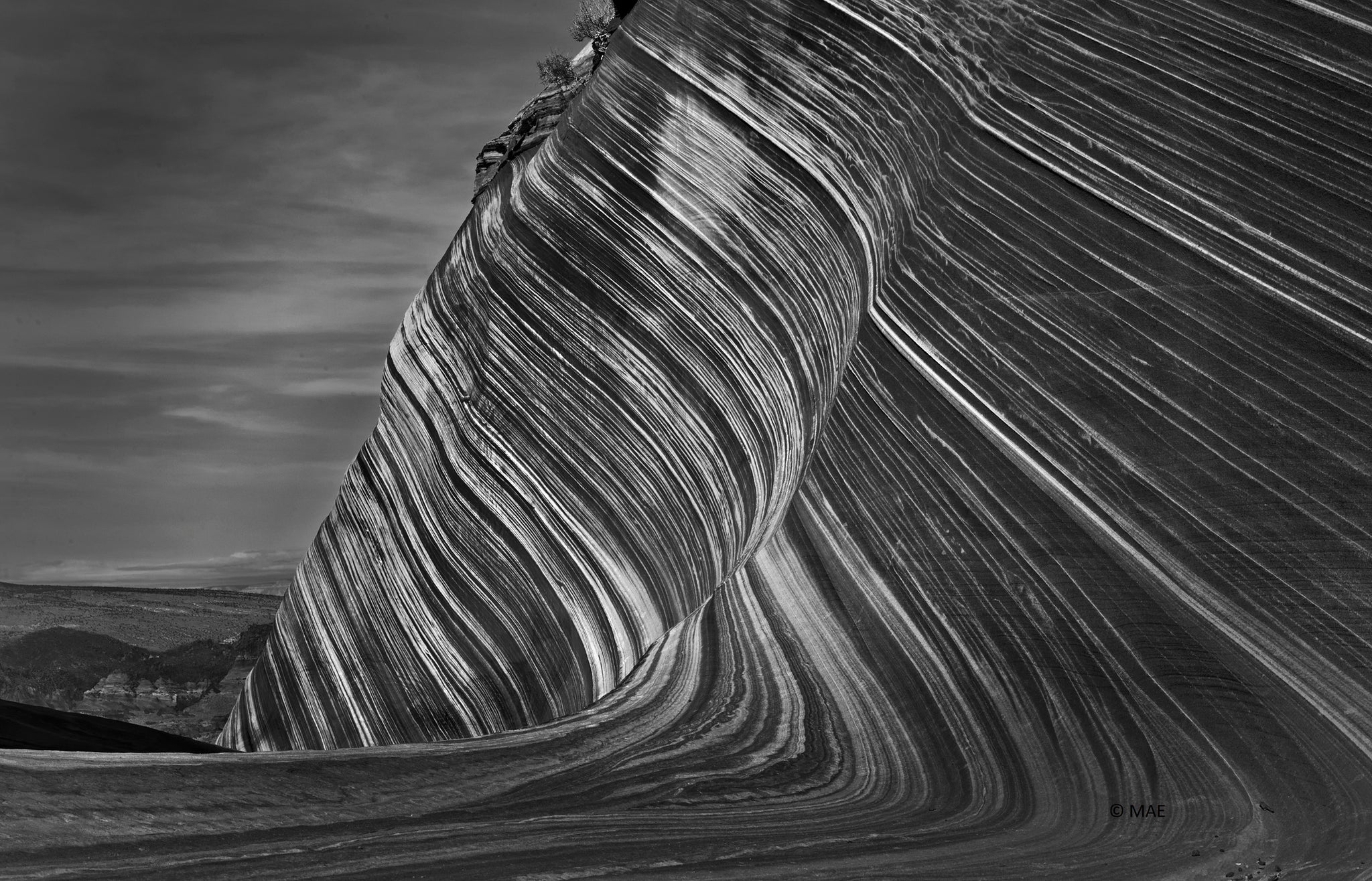 Black and White Photography of American landscape series - "The Wave, Paria Canyon, Arizona" n.2
