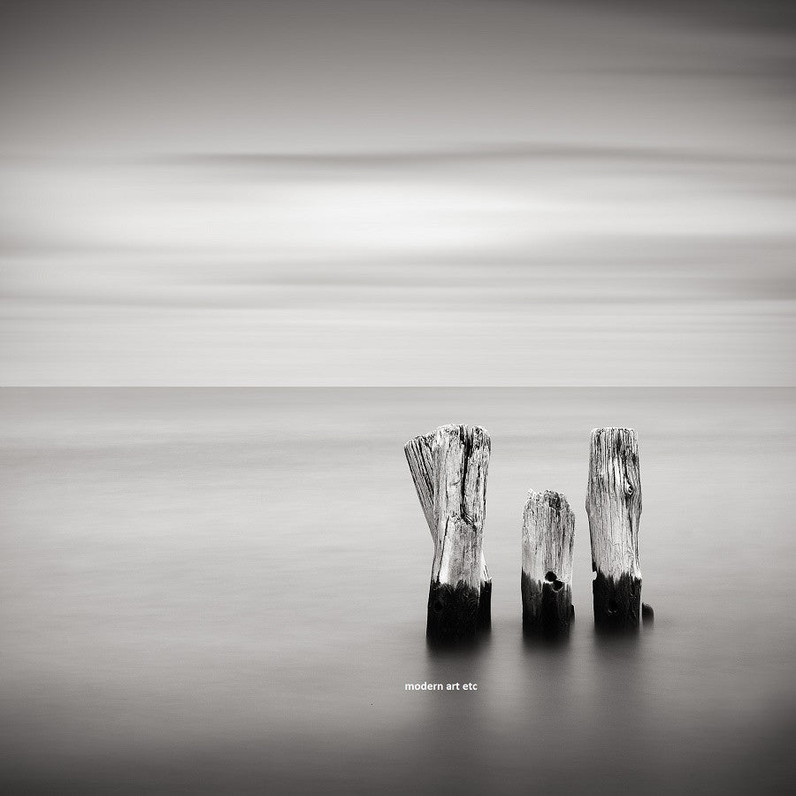 Black and White series - Solitude and Nature, "Three"