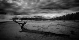 Photography of American landscape series "Yellowstone" n.2
