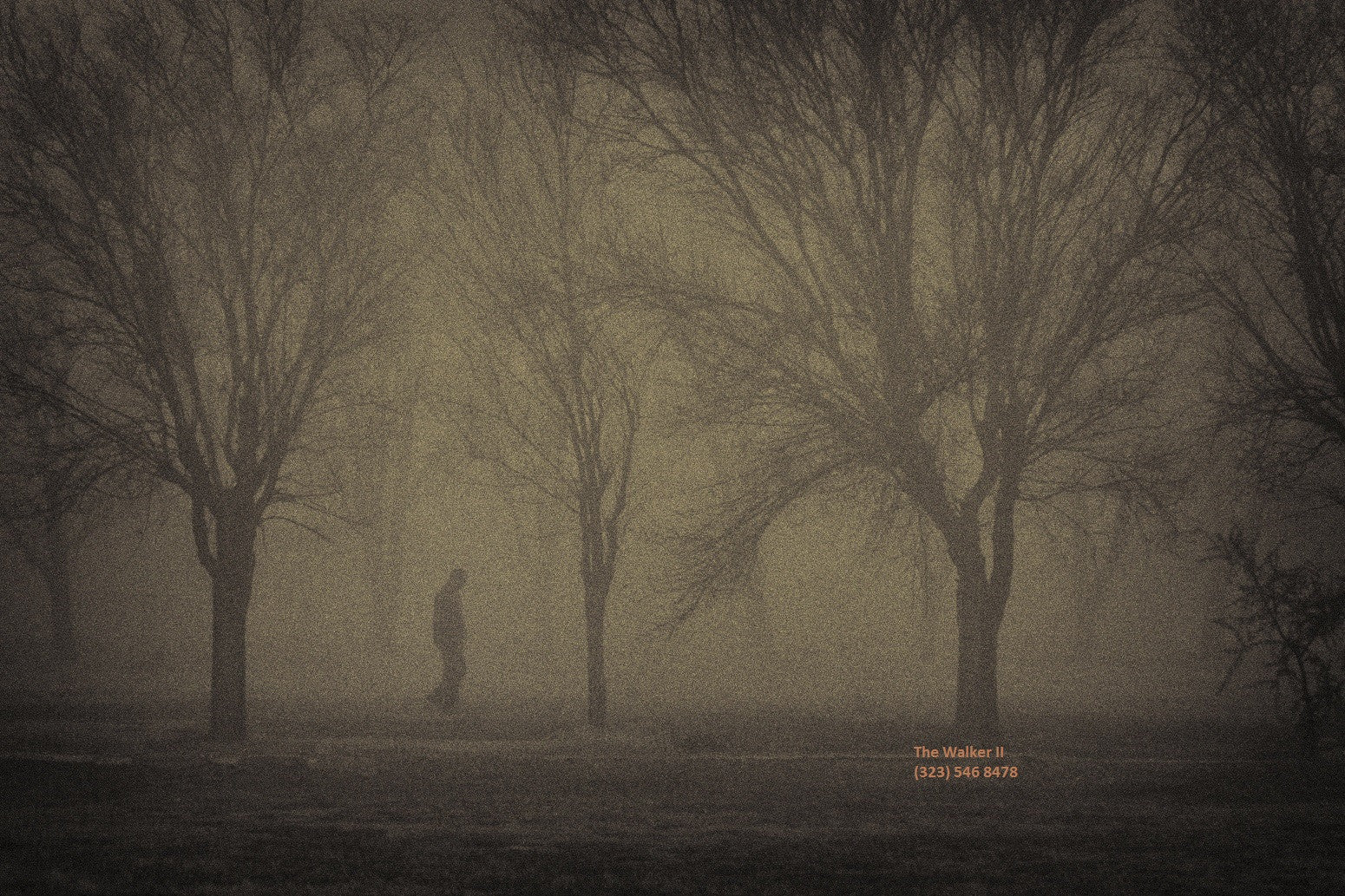 The Walker II