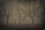 The Walker II