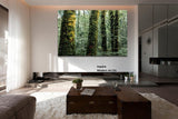 Landscape - Lush forests in Europe, "Giants" - large ready to install photography